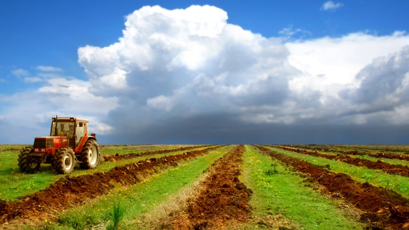 Agriculture
