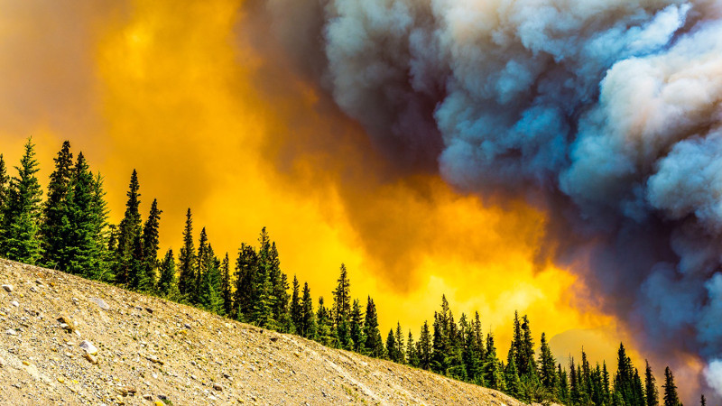 Wildfires